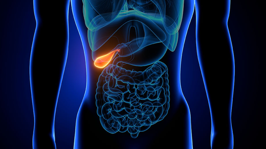 gall bladder