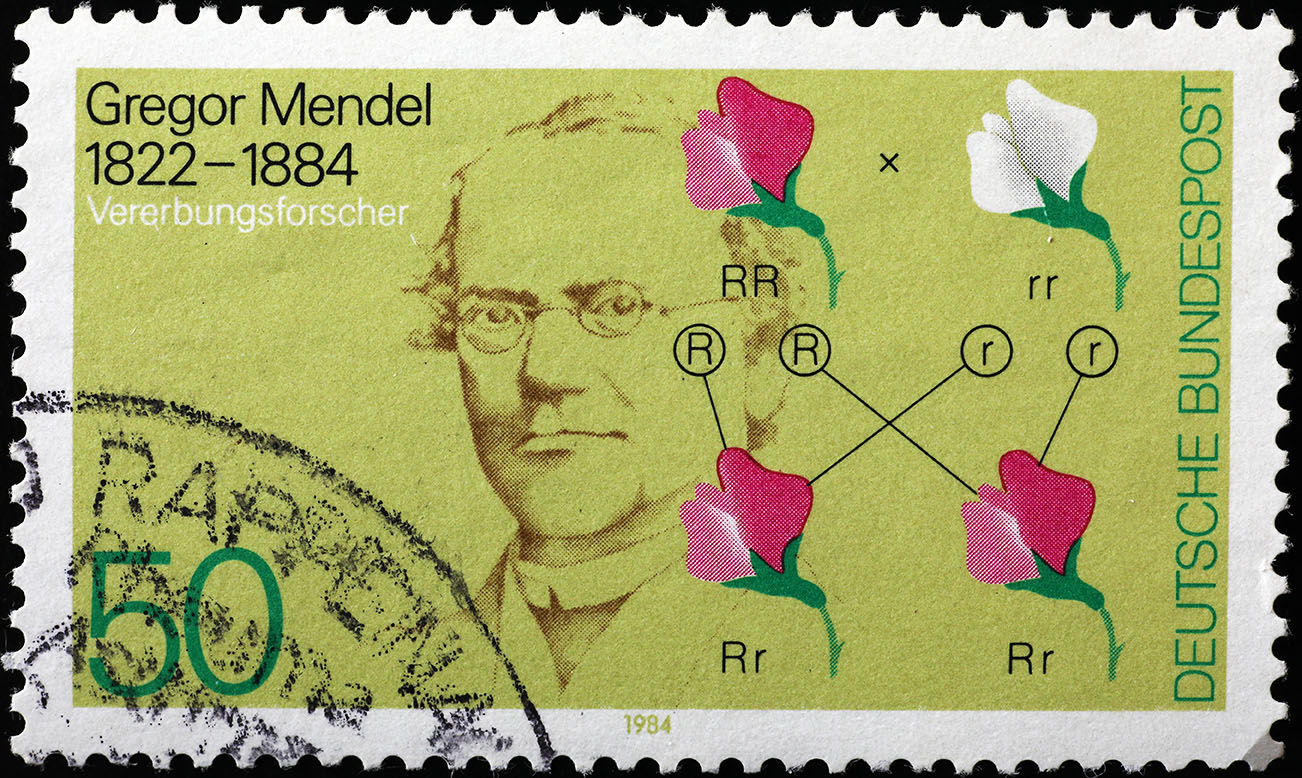 Gregor Mendel