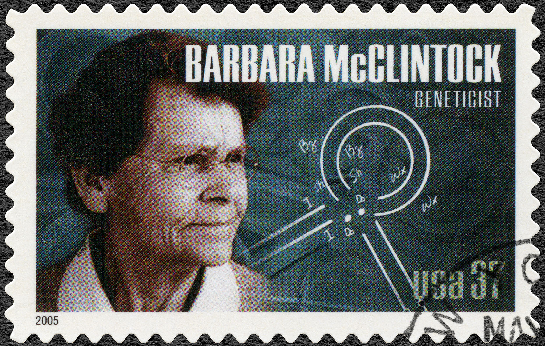 Barbara McClintock