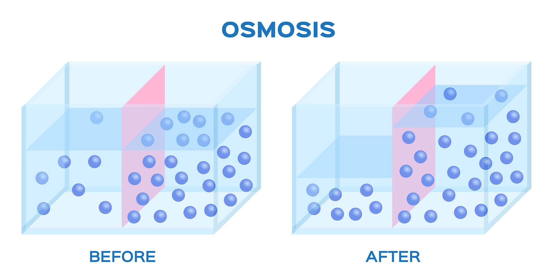 osmosis