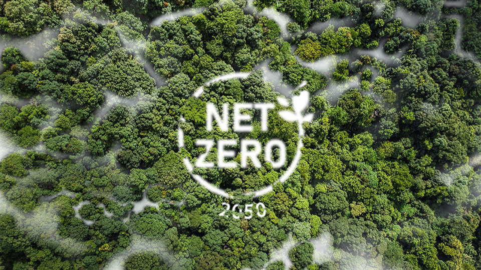 net zero