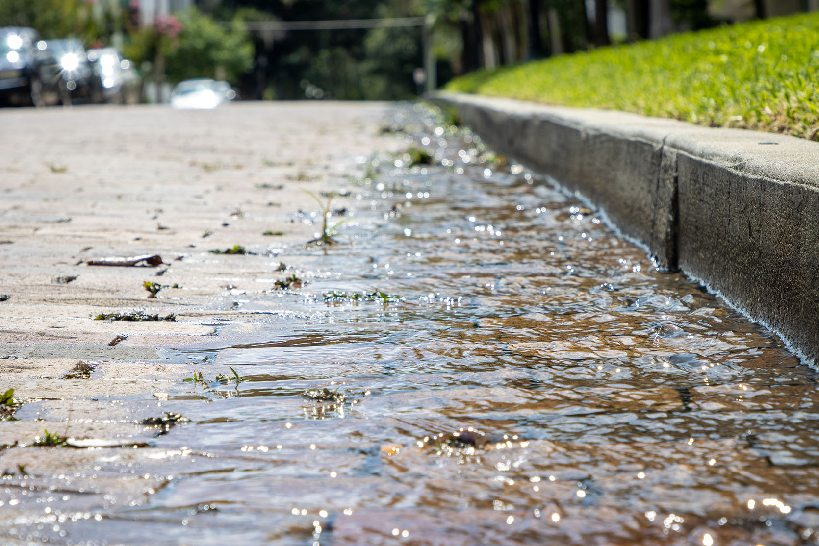 surface runoff