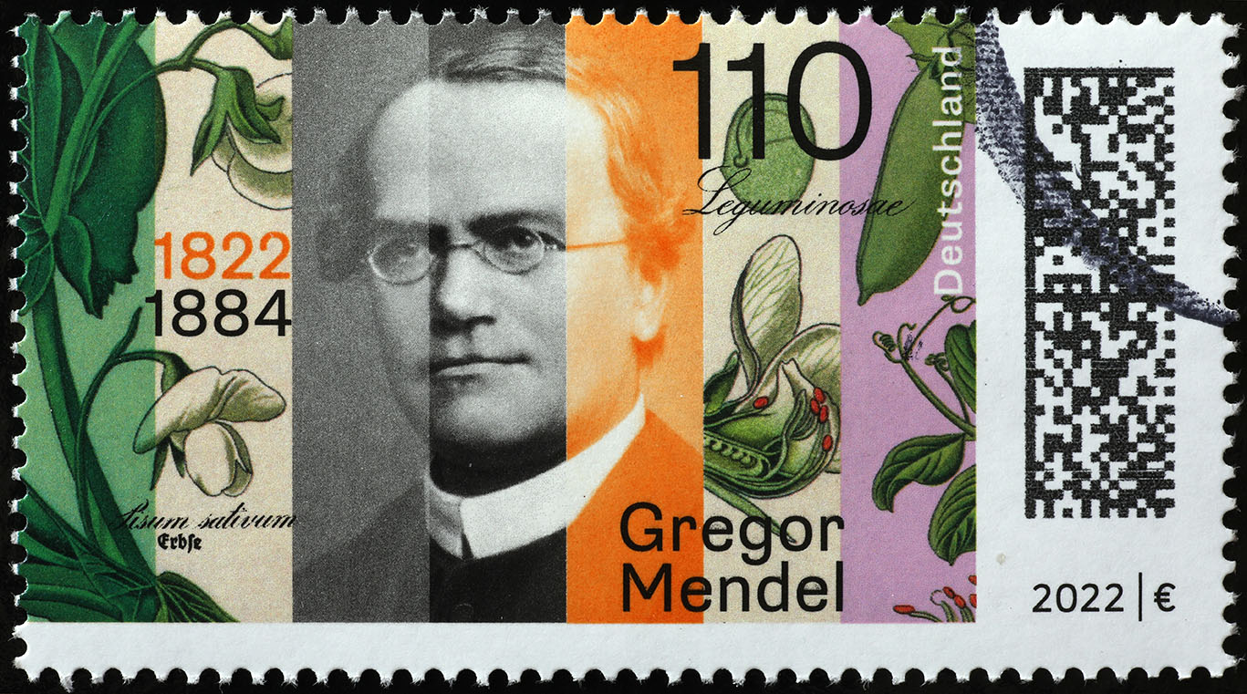 Gregor Mendel