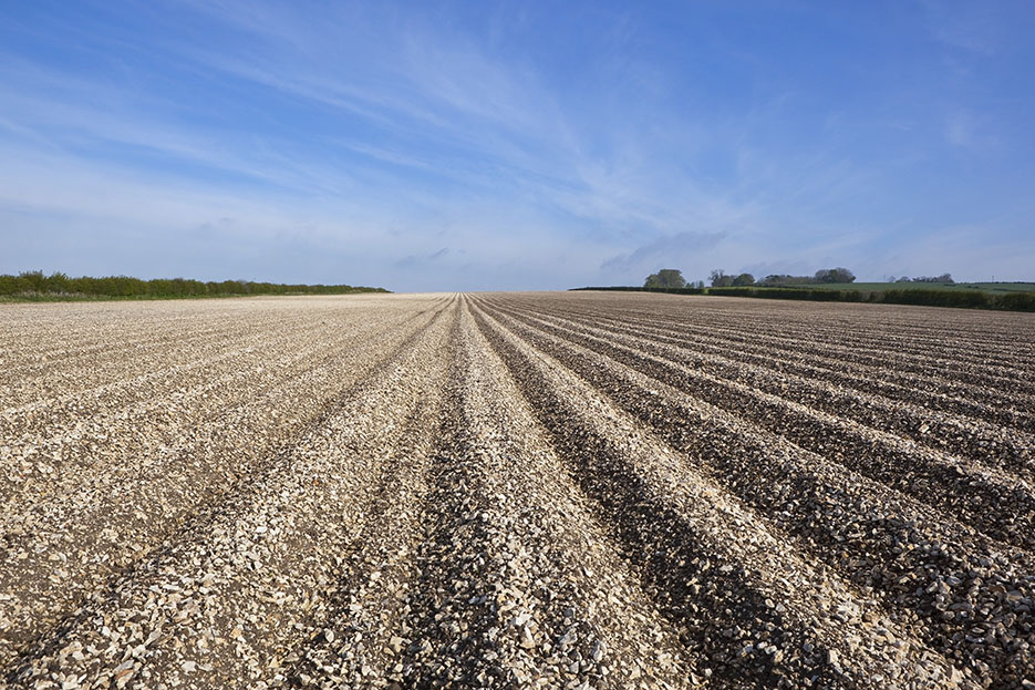 chalky soil