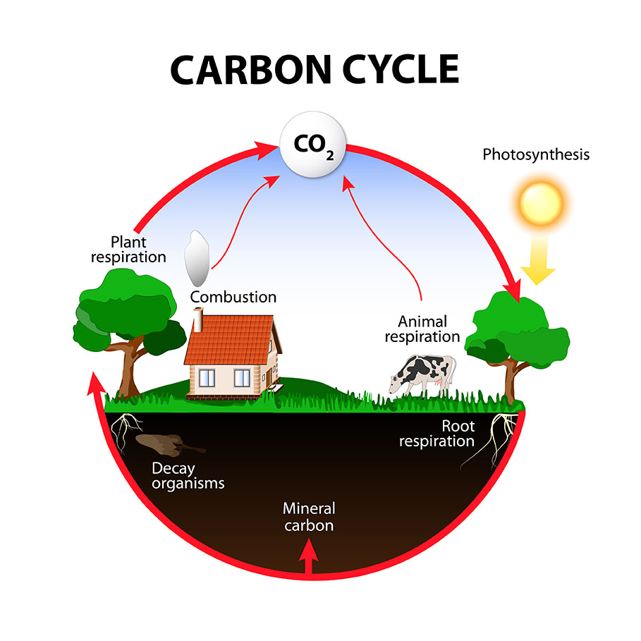 carbon dioxide