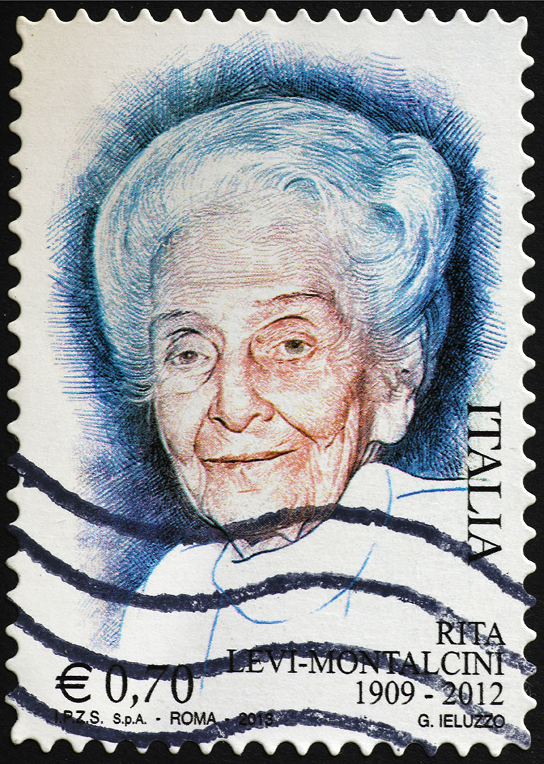 Rita Levi-Montalcini