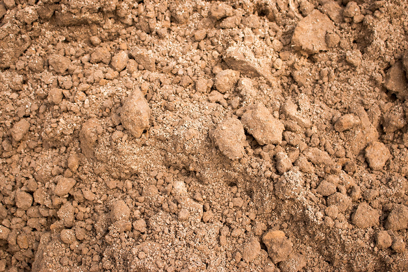 sandy soil