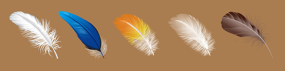 feather