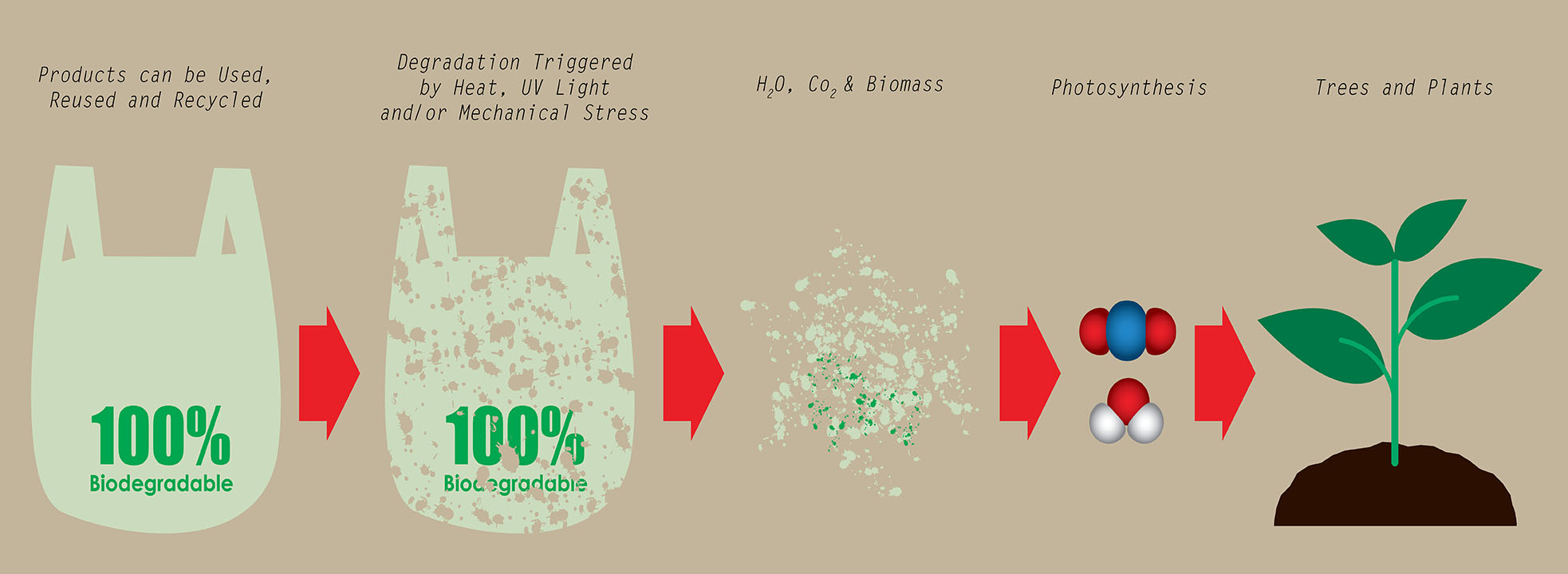 biodegrade