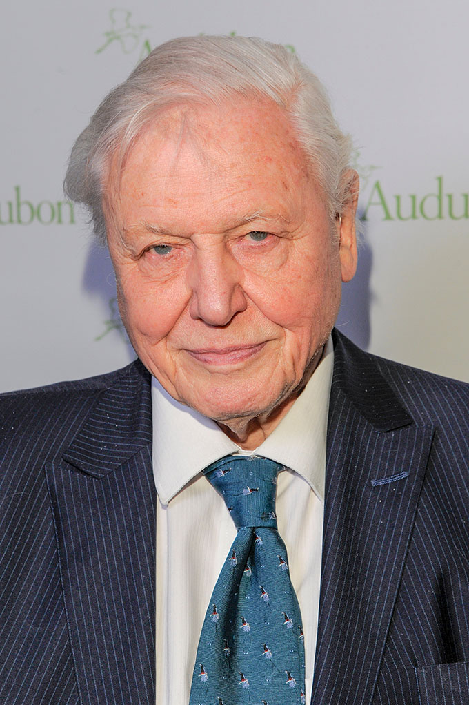 David Attenborough