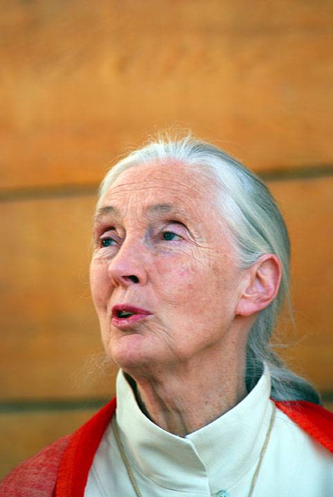 Jane Goodall